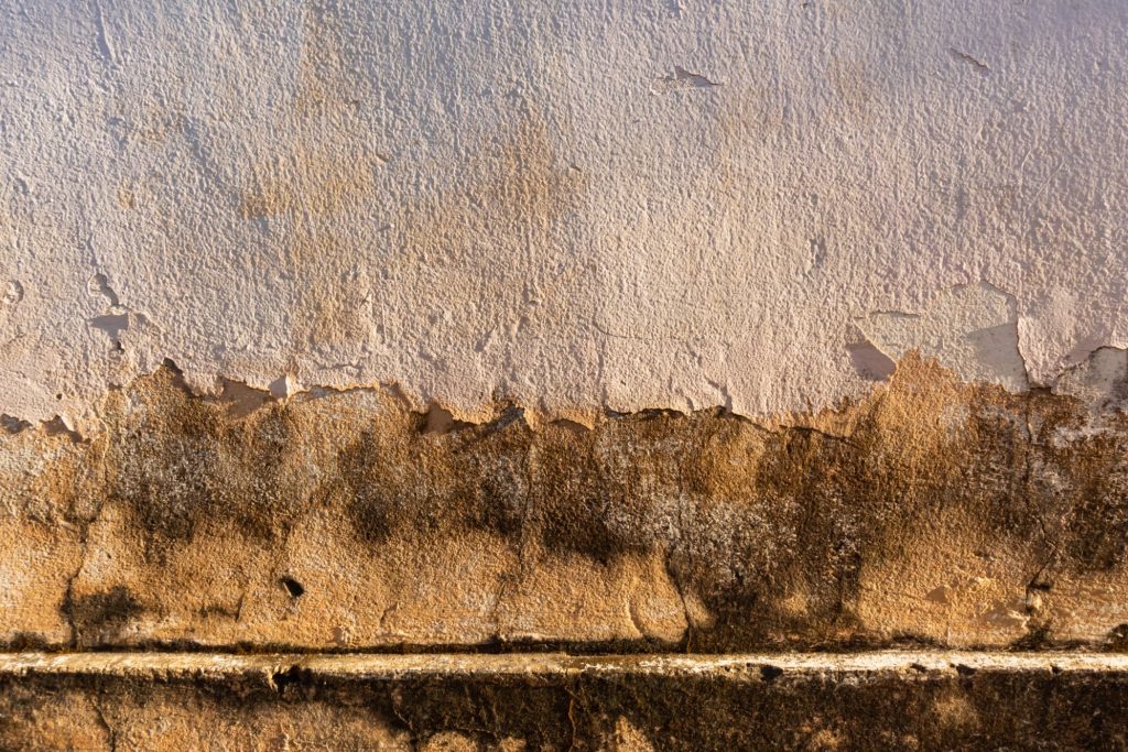 internal insulation damps