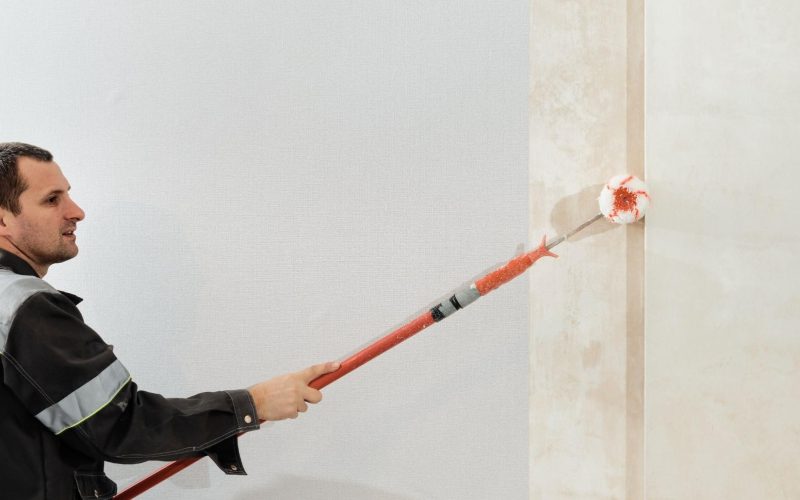 Damp Proof Paint for Interior Walls Is It the Best Solution