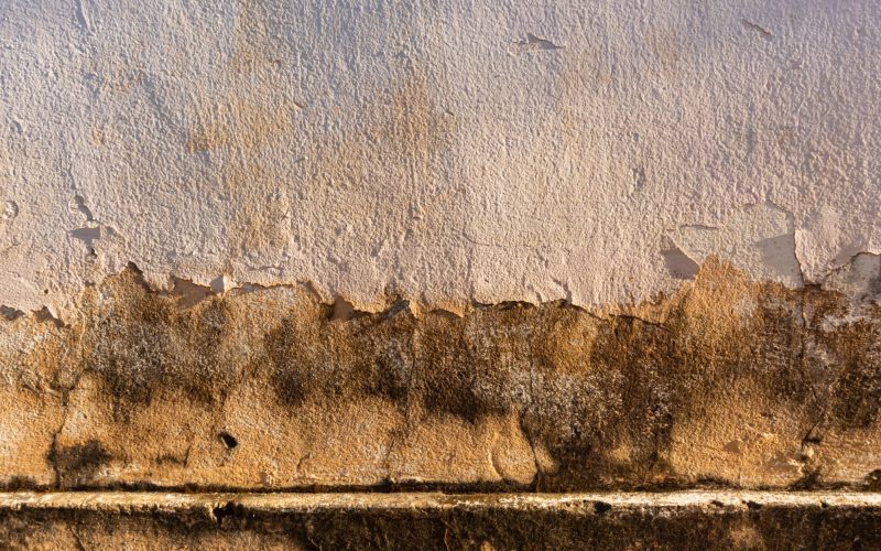 internal insulation damps