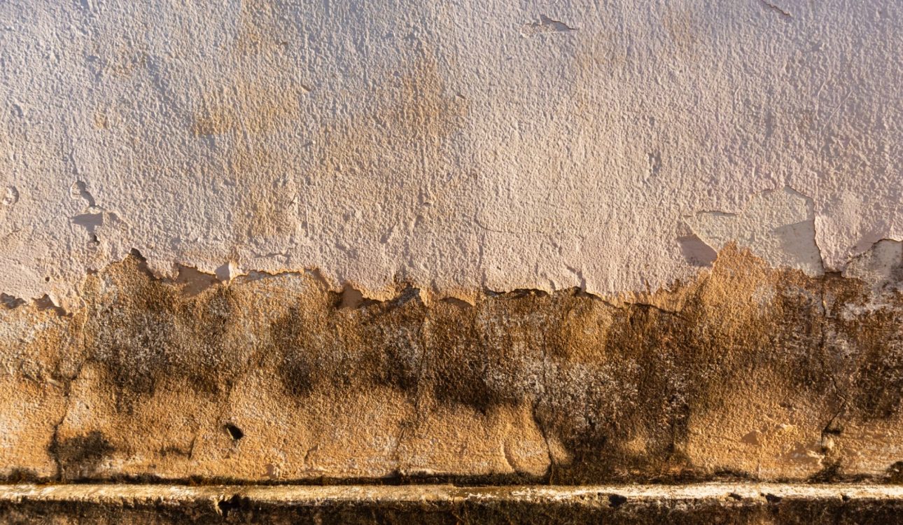 internal insulation damps